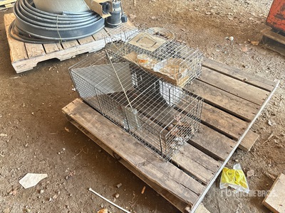 Quantity of Animals Cage Traps
