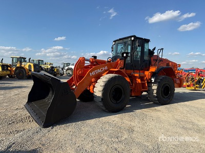 2017 Hitachi ZW250-6 Pala gommata