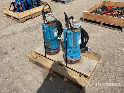 Quantity of (2) Tsurumi 3 in Pompe Submersible