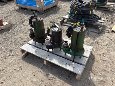 Quantity of (3) 2 in Pompe Submersible