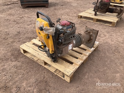 2021 Wacker Neuson Rammer BS60-4As  آلة  لتسوية السطح غير المستوي
