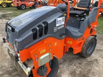 General Appearance with Paint