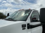 General Appearance with Glass