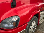 General Appearance with Paint