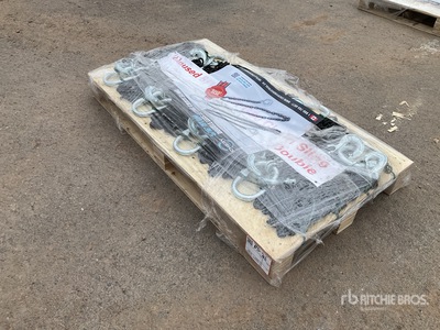 Quantity of (8) Greatbear Double Leg Lifting Chain Fascia per sollevamento (Unused)