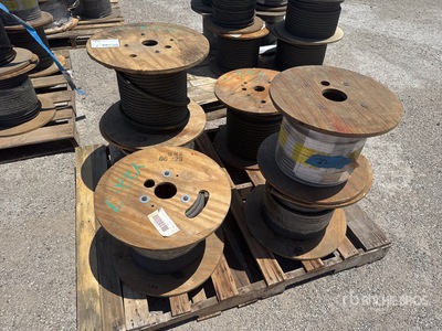 Quantity of (6) Cavo
