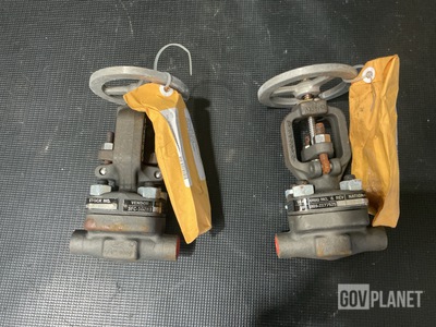 (2) SFC Valve NP-227248 Globe Valves