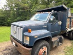 General Appearance with Paint