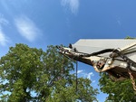 Hydraulics with Hydraulic Motors