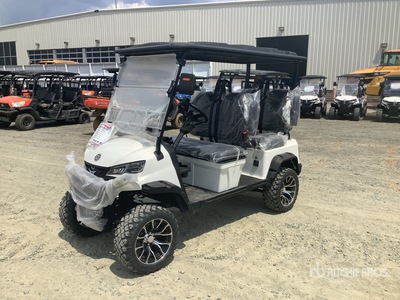 Electric Golf Cart