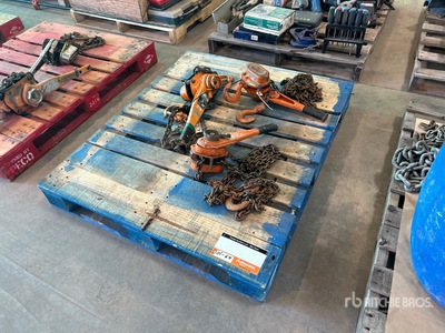 Quantity of (3) Chain Hoists