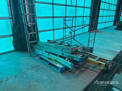 Quantity of (6) Ladder