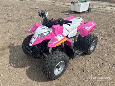 2013 Polaris 50 4x2 Veicolo fuoristrada ATV