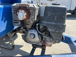 Engine with Fuel System
