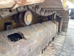 Undercarriage with Left Carrier Rollers