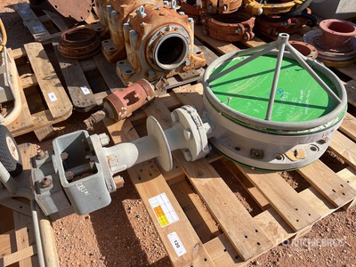 Irrigation Gate Valve