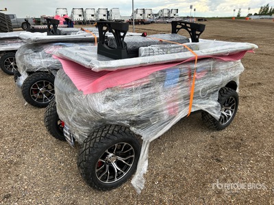 2026 SDLOOL SL-GC22S Electric Off-Road Golf Cart (Unused)