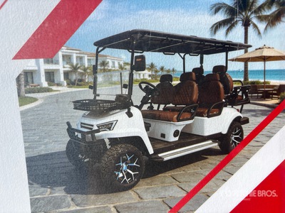 2026 Electric Golf Cart (Unused)
