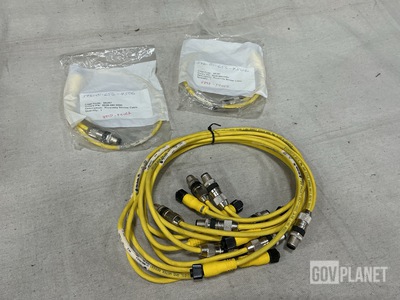 (10) Allen Bradley 889D-F4UC-2 Micro Cables