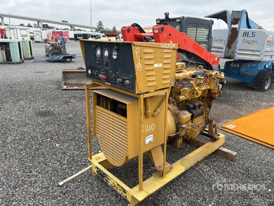 Cat D311 30 kW Skid-Mounted Generator Set