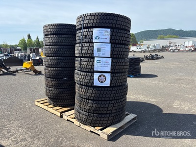 Quantity of (16) 11R22.5 GoSNow Tires