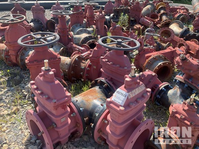 Quantity of 12 in Check Valves, Gate Valves, Gate Valve Handle Fittings, Flanges & Bolts
