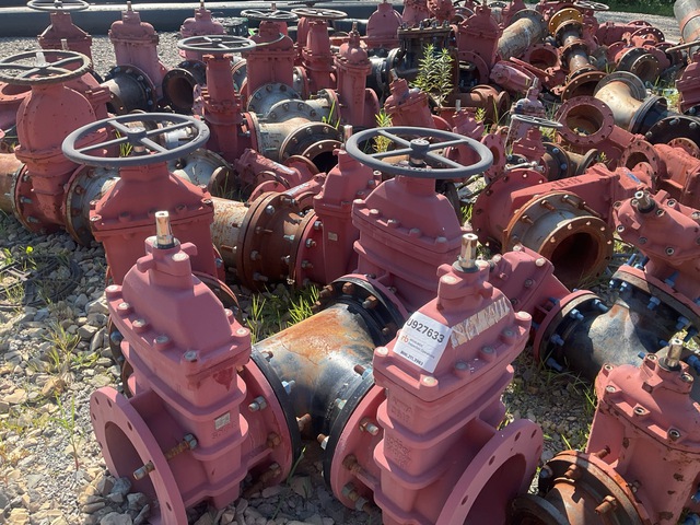 Quantity of 12 in Check Valves, Gate Valves, Gate Valve Handle Fittings, Flanges & Bolts