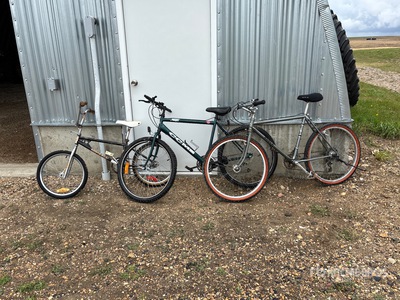 Quantity of (3) Bicicletta