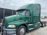 General Appearance with Paint