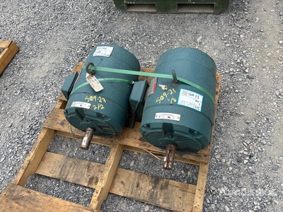 Quantity of (2) Reliance Electric Duty Master XE Motor eléctrico
