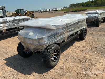 2026 Electric Golf Cart (Unused)
