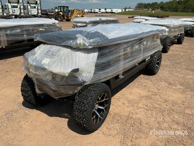 2026 Electric Golf Cart (Unused)