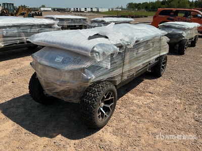 2026 Electric Golf Cart (Unused)