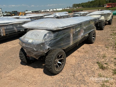 2026 Electric Golf Cart (Unused)