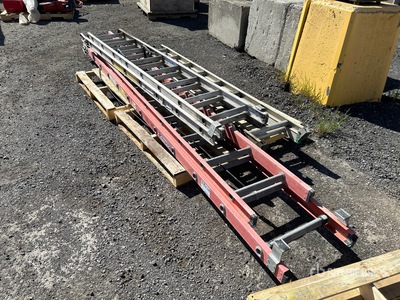 Quantity of (3) Ladder