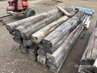Quantity of (25) 8 ft Railroad Ties
