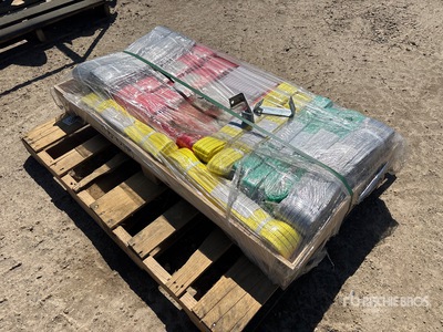 Quantity of (22) 2026 Suihe WS22 Webbing Sling (Unused)