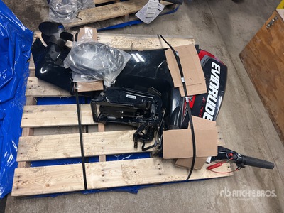 2014 Evinrude E15DHTLABB Motore per imbarcazione
