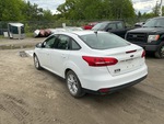 Picture, Left Rear Corner