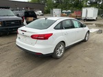 Picture, Right Rear Corner