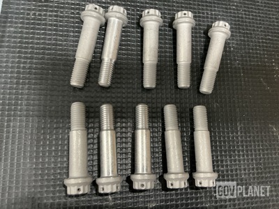 (30) Shear Bolts