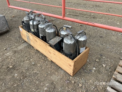 Quantity of (10) Extintor