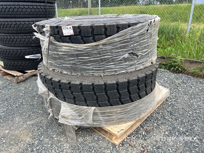 Quantity of (2) 20.2-25 L3/E3 Beaver Tires