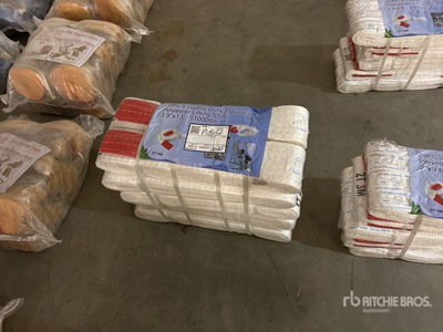 Quantity of (10) 3.9 in x 13 ft Heavy Duty Industrial Polyester Lifting Strap