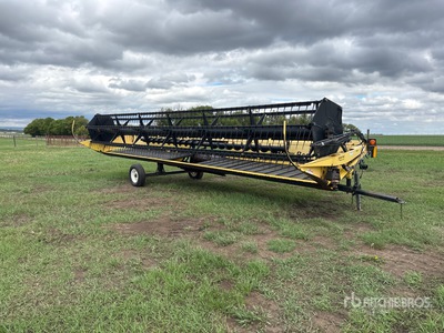 2004 Honey Bee SP30 30 ft Draper Combine Header