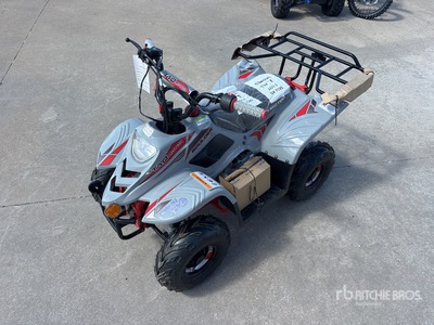 Tao B110 4x2 ATV