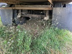 Trailer Chassis with Suspension Air Bags