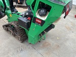 General Appearance with Peinture