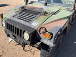 General Appearance with Paint