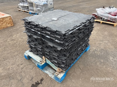 Quantity of 38 in Rubber Carpets